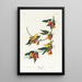 Paruline de Rathbone - John James Audubon — oprawiony obraz na ścianie