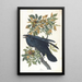 Kruk - John James Audubon — oprawiony obraz na ścianie