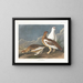 Grupa skał - John James Audubon — oprawiony obraz na ścianie