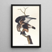 Faucon à pattes rugueuses - John James Audubon — oprawiony obraz na ścianie