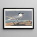 Sterne caugek - John James Audubon — oprawiony obraz na ścianie