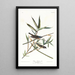 Moucherolle solitaire ou viréo - John James Audubon — oprawiony obraz na ścianie