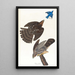 Faucon Stanley - John James Audubon — oprawiony obraz na ścianie