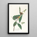 Paruline de Swainson - John James Audubon — oprawiony obraz na ścianie