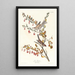 Reprodukcja obrazu Bruant des arbres - John James Audubon