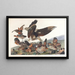 Perdrix de Virginie - John James Audubon — oprawiony obraz na ścianie