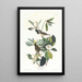 Moucherolle śpiewający - John James Audubon — oprawiony obraz na ścianie