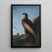 Aigle de mer de Washington - John James Audubon — oprawiony obraz na ścianie