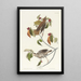 Grive des bois - John James Audubon — oprawiony obraz na ścianie