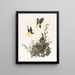 Paruline polyglotte - John James Audubon — oprawiony obraz na ścianie