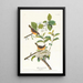 Żółtonoga Parula - John James Audubon — oprawiony obraz na ścianie