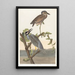 Heron koronowany - John James Audubon — oprawiony obraz na ścianie