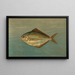 Le poisson-dollar ou poisson-butter, Rhombus triacanthus - John L. Petrie — oprawiony obraz na ścianie