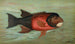 Le Sacramento Pike Squawsfish ou Ptychocheilus oregonensis à ventre jaune - John L. Petrie — widok dzieła
