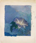 Nocturne - John La Farge — widok dzieła