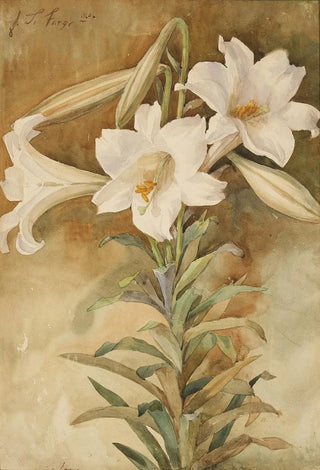 John La Farge - Still Life of Easter Lilies.webp
