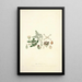Collectanea botanica Pl04 - John Lindley — oprawiony obraz na ścianie