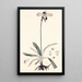 Collectanea botanica Pl32 - John Lindley — oprawiony obraz na ścianie