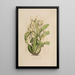Sertum orchidaceum - Najpiękniejsza korona kwiatów orchidei Pl06 - John Lindley — oprawiony obraz na ścianie