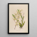 Sertum orchidaceum - Najpiękniejsza korona kwiatów orchidei Pl07 - John Lindley — oprawiony obraz na ścianie