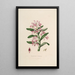 Sertum orchidaceum. Najpiękniejsza korona kwiatów orchidei. Pl18 - John Lindley — oprawiony obraz na ścianie