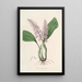 Sertum orchidaceum - Najpiękniejsza korona kwiatów orchidei Pl24 - John Lindley — oprawiony obraz na ścianie