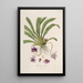 Sertum orchidaceum - Najpiękniejsza korona kwiatów orchidei Pl26 - John Lindley — oprawiony obraz na ścianie