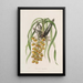 Sertum orchidaceum - Najpiękniejsza korona kwiatów orchidei Pl31 - John Lindley — oprawiony obraz na ścianie