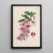 Sertum orchidaceum. Korona jednych z najpiękniejszych kwiatów orchidei Pl35 - John Lindley — oprawiony obraz na ścianie