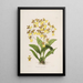 Sertum orchidaceum - Najpiękniejsza korona kwiatów orchidei Pl39 - John Lindley — oprawiony obraz na ścianie