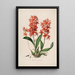 Sertum orchidaceum - Najpiękniejsza korona kwiatów orchidei Pl45 - John Lindley — oprawiony obraz na ścianie