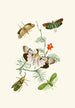 Le cabinet d'entomologie orientale Pl IV - John Obadiah Westwood — widok dzieła