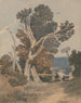 Grupa drzew przy ogrodzeniu - John Sell Cotman — widok dzieła