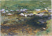 Rzeka i łąka - John Singer Sargent — widok dzieła