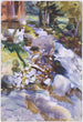Ruisseau impétueux - John Singer Sargent — widok dzieła