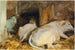 Trzy byki - John Singer Sargent — widok dzieła
