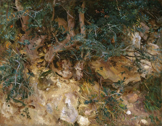 Chardony i zioła na wzgórzu w Valldemossa, Majorka - John Singer Sargent — widok dzieła