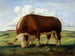 Ajax - John Steuart Curry — widok dzieła