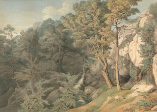 John White Abbott - Canonteign Devon.webp