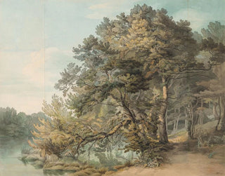 John White Abbott - PeamoreDevon.webp