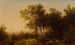 Solitude - John William Casilear — widok dzieła