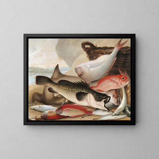 John William Lewin - Fish catch and Dawes Point Sydney Harbour.webp