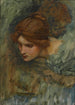 Studium głowy Wenus w Przebudzeniu Adonisa - John William Waterhouse — widok dzieła