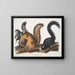 wiewiórki Fox w naturalnym rozmiarze - John Woodhouse Audubon — oprawiony obraz na ścianie