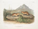 Spermophile tacheté, wiewiórka marmot z Kalifornii, rozmiar naturalny - John Woodhouse Audubon — widok dzieła