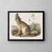 Renard szybki rozmiar naturalny samiec - John Woodhouse Audubon — oprawiony obraz na ścianie