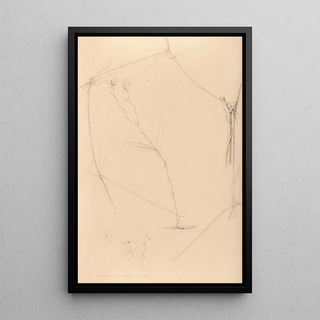 Joo Barbosa Rodrigues - Iconographie des orchidees du Bresil Pl41.webp