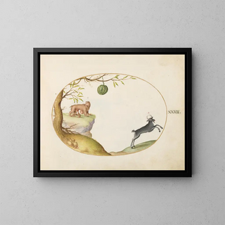 Joris Hoefnagel - A Simivulpa Opossum and an Ibex.webp