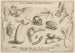 Archetypa Studiaque Patris Georgii Hoefnagelii Pl06 - Joris Hoefnagel — widok dzieła