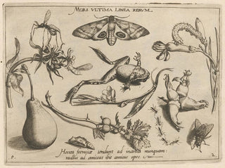 Joris Hoefnagel - Archetypa studiaque patris Georgii Hoefnagelii Pl20.webp